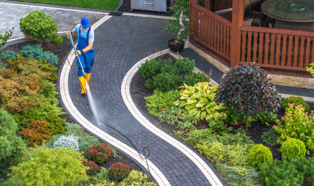 Best Pressure Washing Driveway  in Excelsior Springs, MO